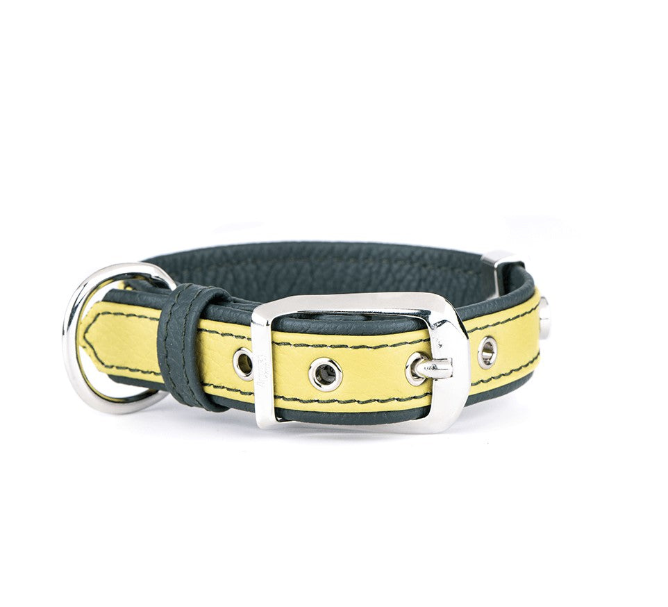 My Firenze Hundhalsband 64cm