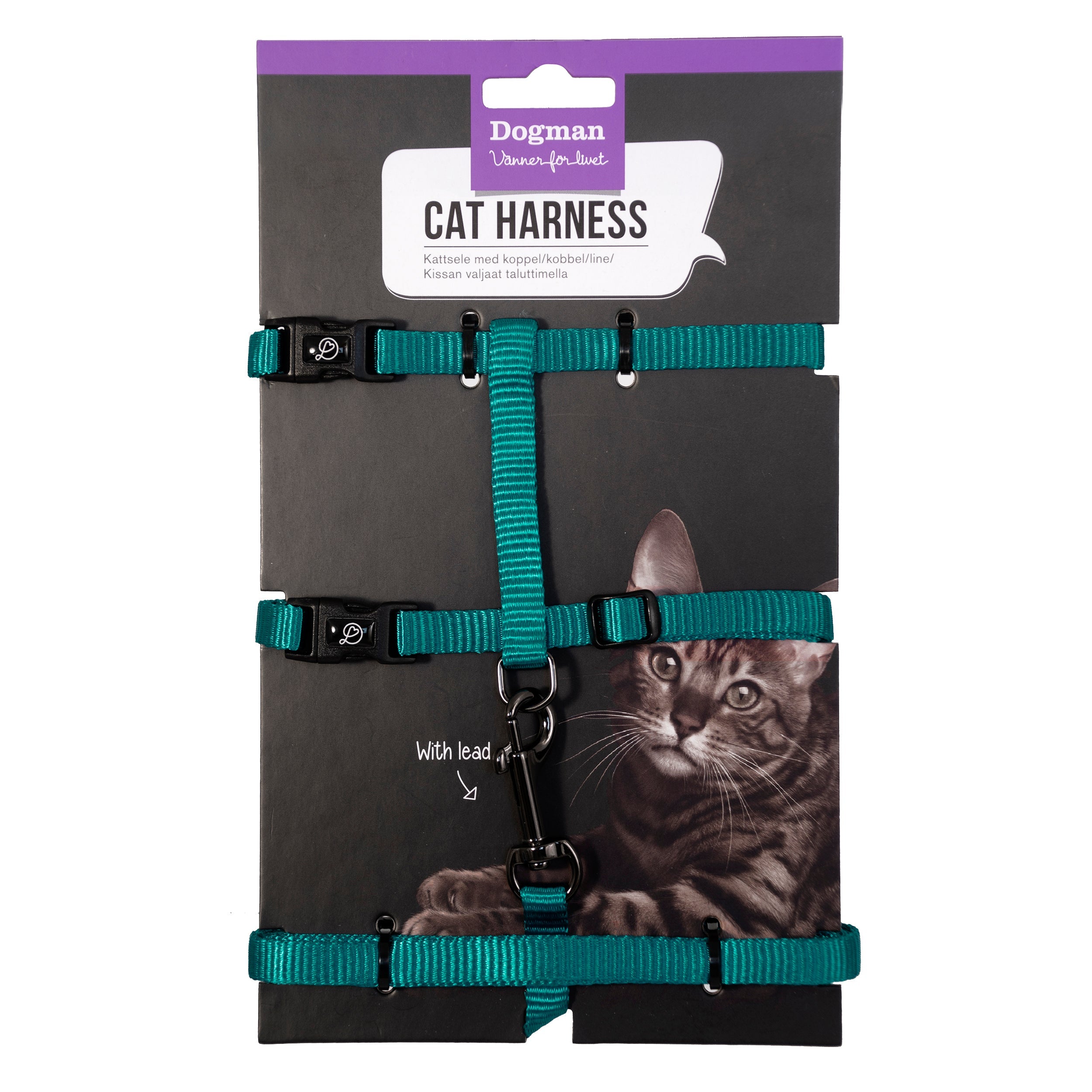 Dogman Kattsele-set Findus Turkos