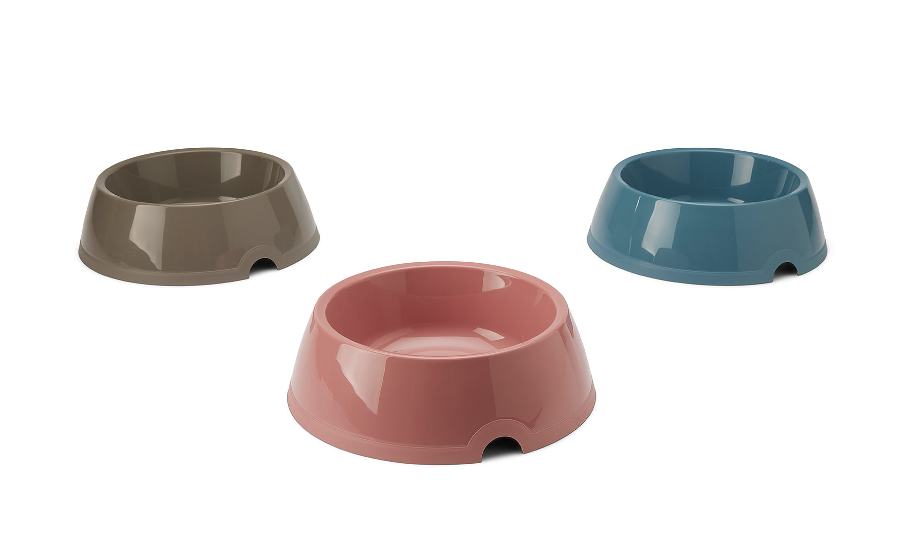 Picnic Food Bowl