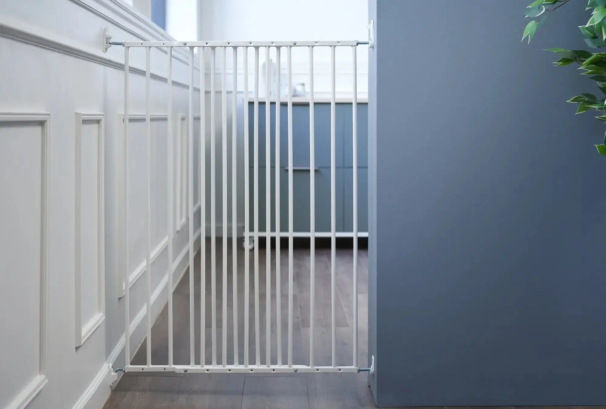 DogSpace Charlie Hundgrind - Vit